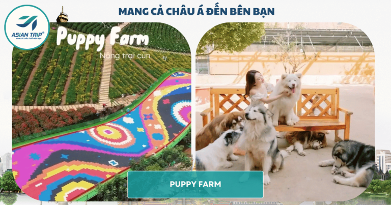 PUPPY FARM