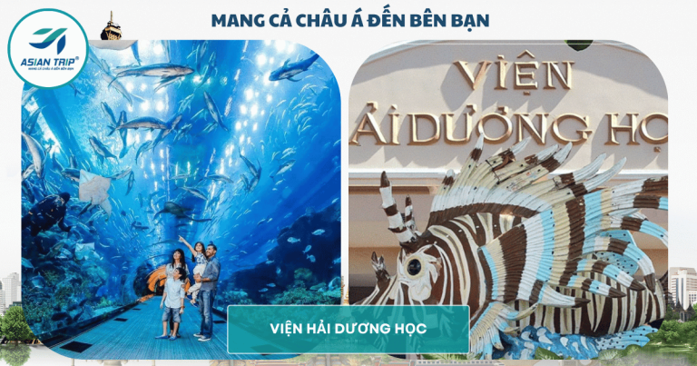 _HẢI DƯƠNG HỌC